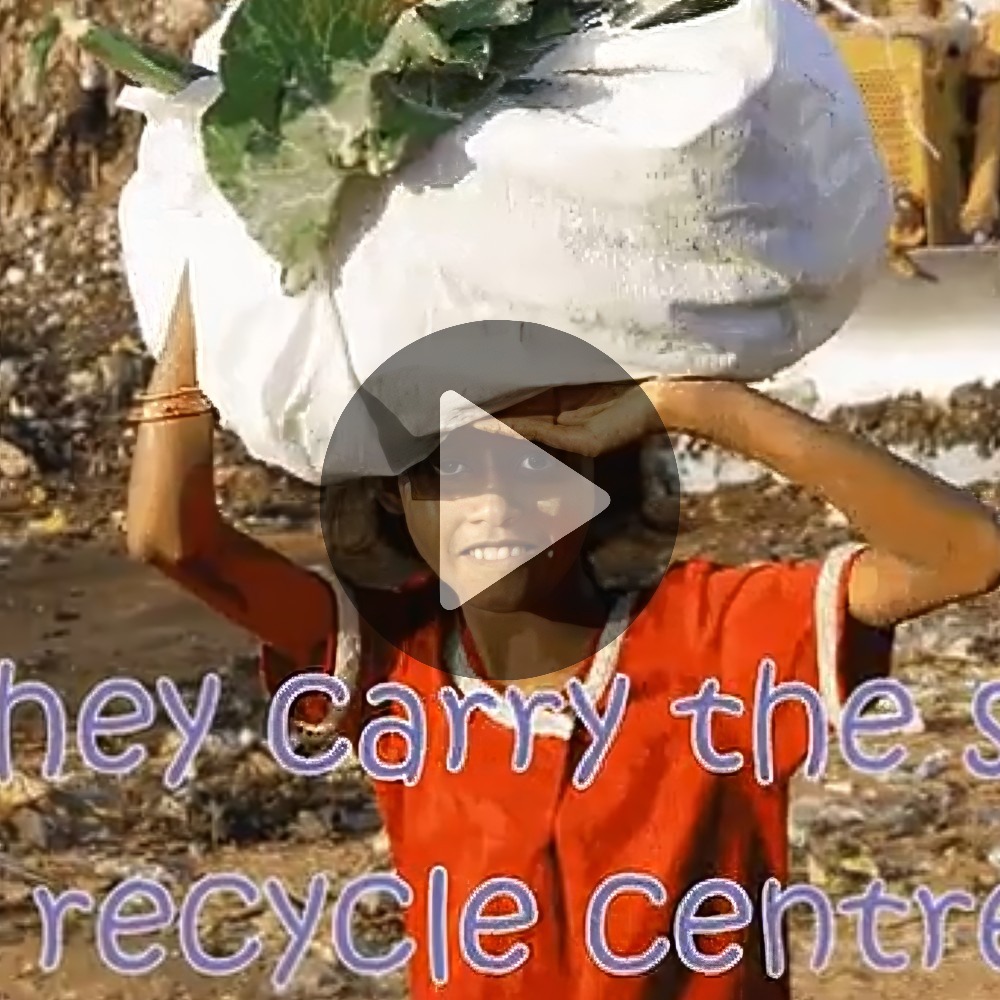 Recycle, Reuse and Respect