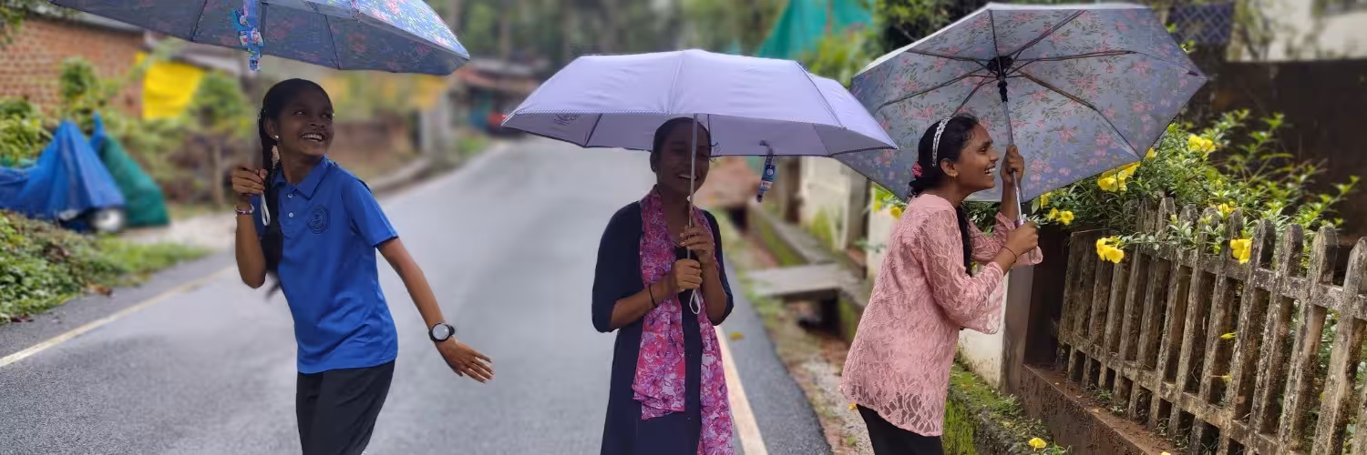 Umbrellas.