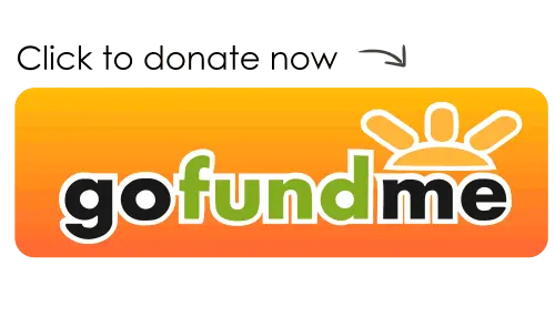 donate with gofundme